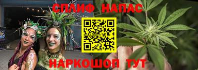 ешки Новокубанск